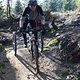 IMG 3307