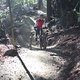 IMG 3324