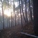 DSC00017