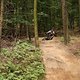 IMG 0121