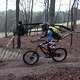 IMG 1308
