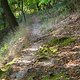 DSC02970