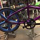 Cannondale Hooligan 2018, Pinion in Laser Purple... Aerospokes... double checking the Belt line.