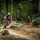 Tschechien kann mit mehreren sehr schicken Trail- und Bikeparks aufwarten