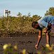 So konnten Endura zufolge schon über 1,3 Millionen Mangroven …