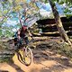 IBC-User Uli nutzt das Bike gerne auf Touren im Pfälzer Wald