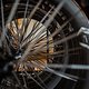 Newmen Hausbesuch 2024-026