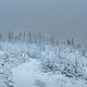 Frozen Rennsteig 5