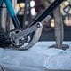 Sea Otter Classic Tag1-151