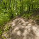 Gratis Wurzeltrail