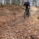 Teutoburger Wald Tour (19)