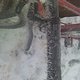 War der Winter Kalt