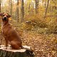 Herbst2K10Bild095