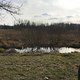 Eichwerder Moorwiesen