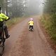 Earlyrider Trail Runner 14 unterwegs im Herbstwald