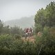 Riders in the mist during the Prologue of the 2019 Absa Cape Epic Mountain Bike stage race held at the University of Cape Town in Cape Town, South Africa on the 17th March 2019.

Photo by Xavier Briel/Cape Epic

PLEASE ENSURE THE APPROPRIATE CRED