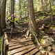 BC North Shore - Baden Powell