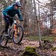 Commencal Tempo Action 2024 PSturm-34