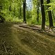 Gratis Wurzeltrail