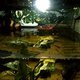 DSCF1998