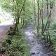 DSCF0101