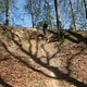 IMG 0611
