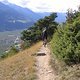 IMG 2447