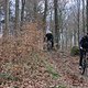 IMG 5248