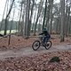 IMG 1181