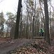 IMG 1489