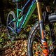 ORBEA Rallon 2019