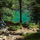 DSC05266-ck