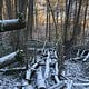 2 Runden Neumühler mit Schnee