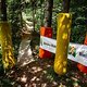 Eine Travese durch ein kleines Wäldchen führt entlang des bestehenden Enduro-Trails