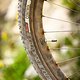 Specialized Epic Expert World Cup-2014-Details-26