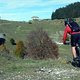 2013-10-18-Frontsteige-S153-DSCN4162