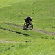 IMG 9948