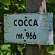 03 MI 06cocca