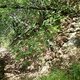 AnotherSecretTrail2