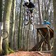 Bikepark Beerfelden 6.04.15