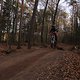 IMG 1931