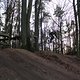 IMG 2019