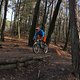 IMG 1745