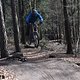 DSC 0041