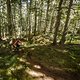 Uphill durch den kanadischen Forst: Der Hinterbau ist einerseits wippfrei, bietet aber andererseits ausreichend Traktion, um sowohl wurzeligen Waldboden als auch loses Terrain gut erklettern zu können