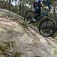 IMG 8291