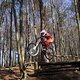 Bike Beerfelden P 308