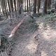 IMG 0988Large 1272301576