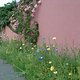DSCF0121