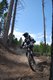 Wald-2010